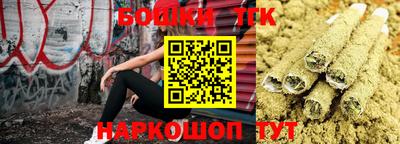 молекула духа Гатчина