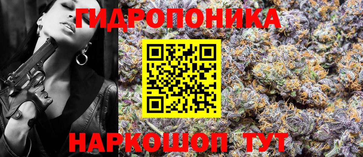 Трёхгорный  Бошки Шишки Bruce Banner  Канабис White Widow  Бошки Шишки тримм  Вход с VPN  Марихуана Ganja 